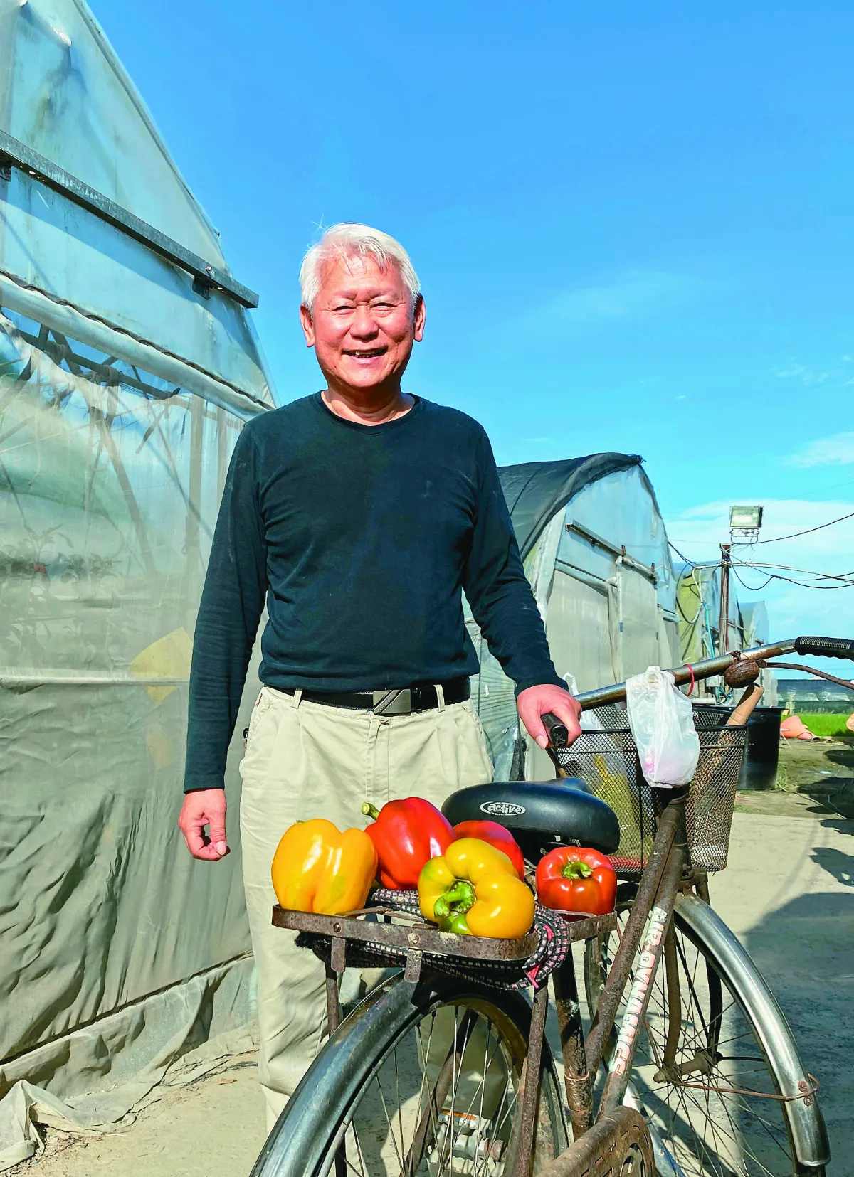【在地好農】散步新港鄉間小路