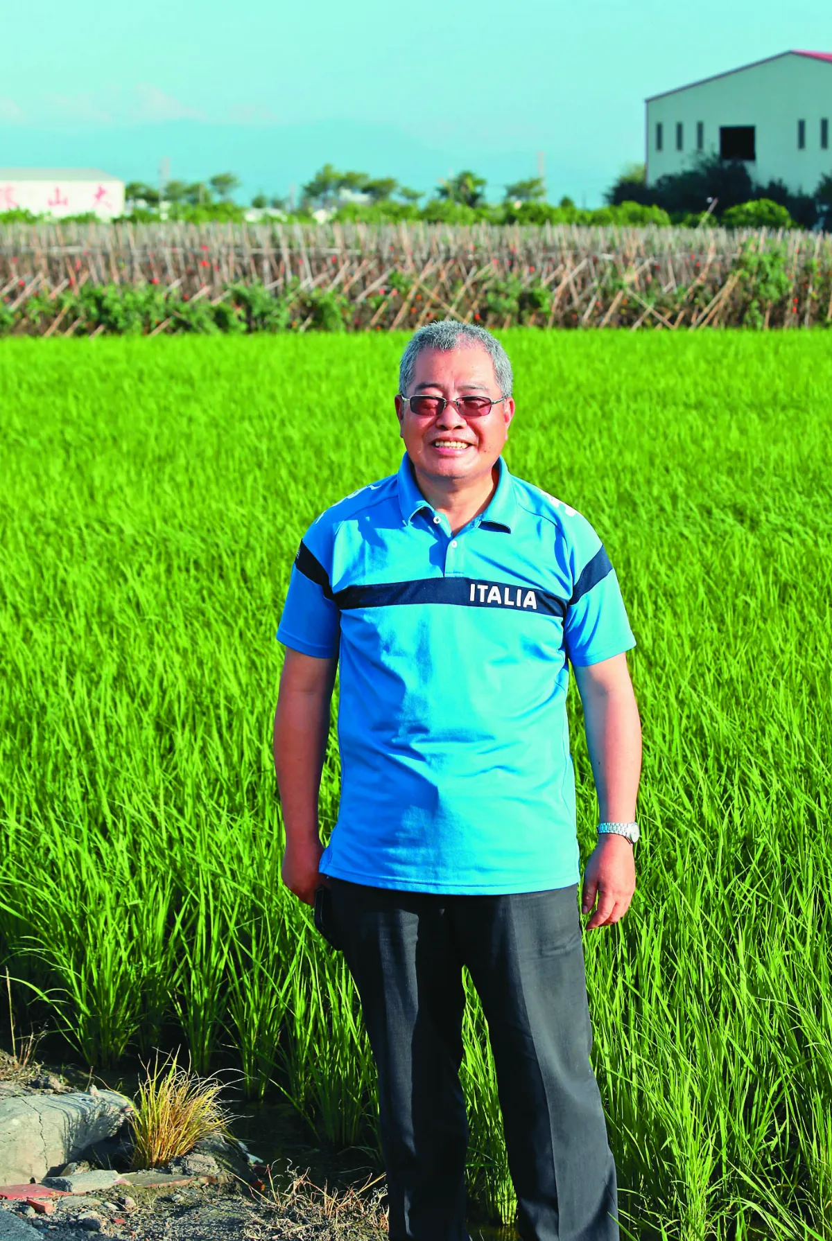 【在地好農】散步新港鄉間小路