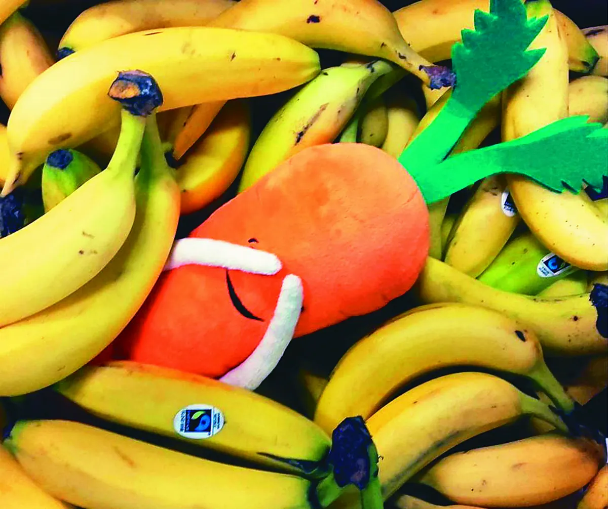 浪費食物恐遭罰 追隨義、法  西班牙剩食法明年上路