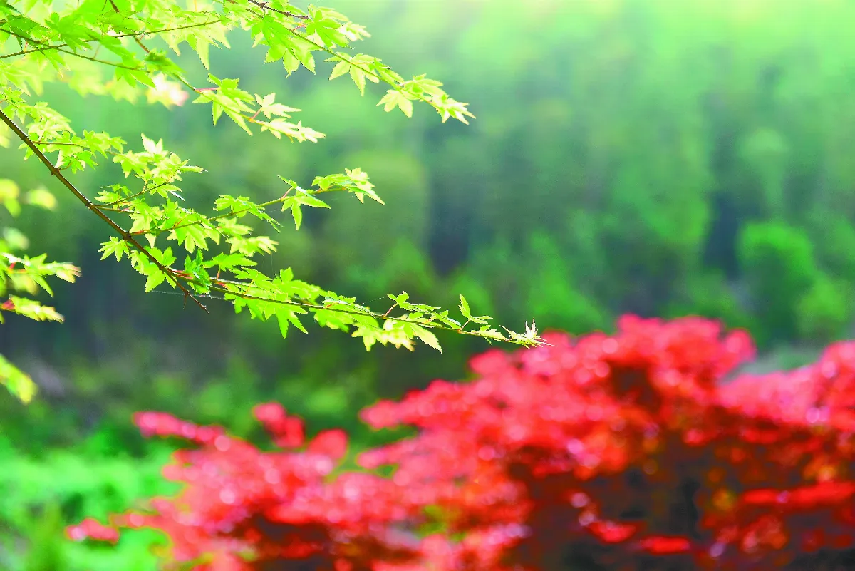 隨堂開示錄─教育講習 47   叢林參問 8-8