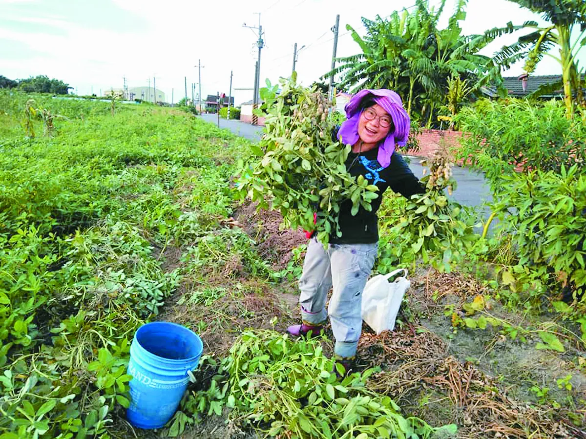 陳映蓉  友善土地當生活日常