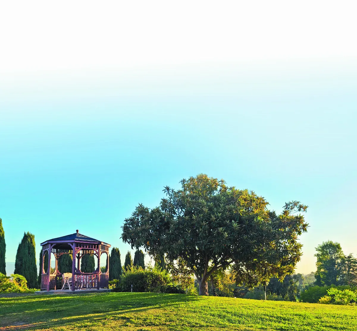 【隨堂開示錄─教育講習48】興辦學校有我一份 2-1