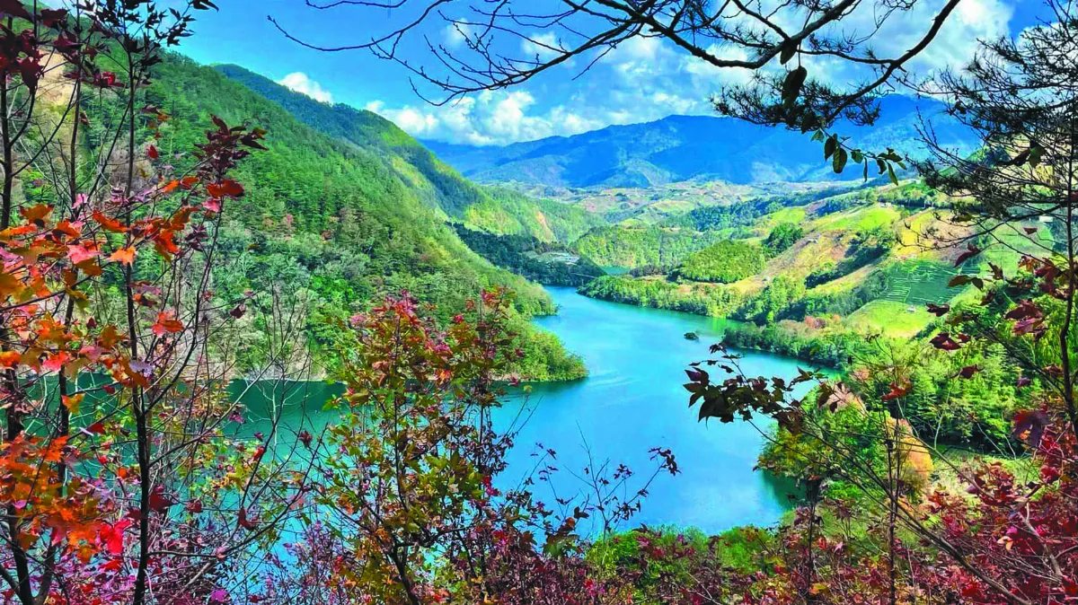 高山幸福巴 梨山看雲趣