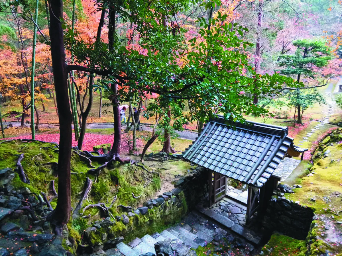 苔寺抄經記