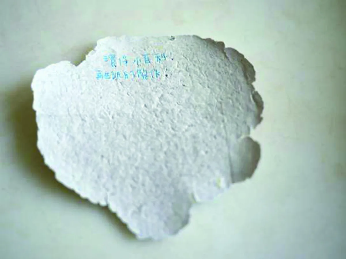 愛護地球 簡易再生紙製作