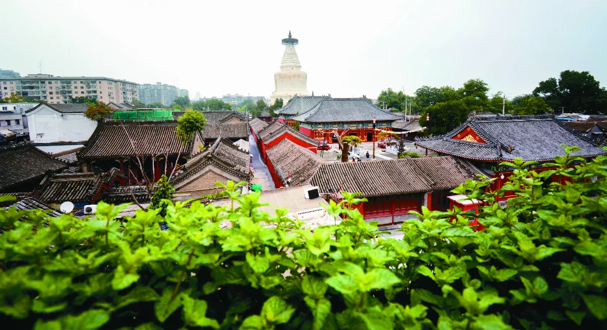 【大陸社會觀察】北京胡同 老巷幽宅靜樹依