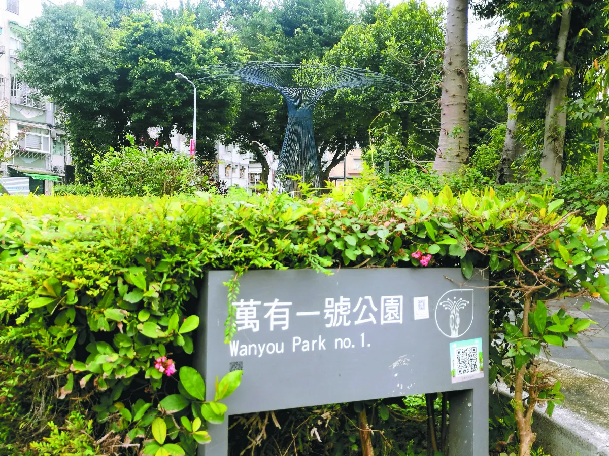 看見猢猻樹