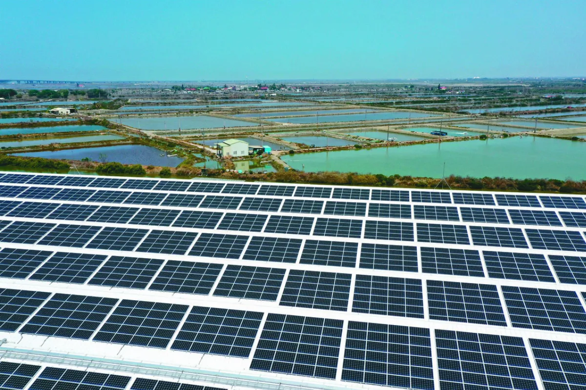 漁電共生 搶租農地挖魚池種電