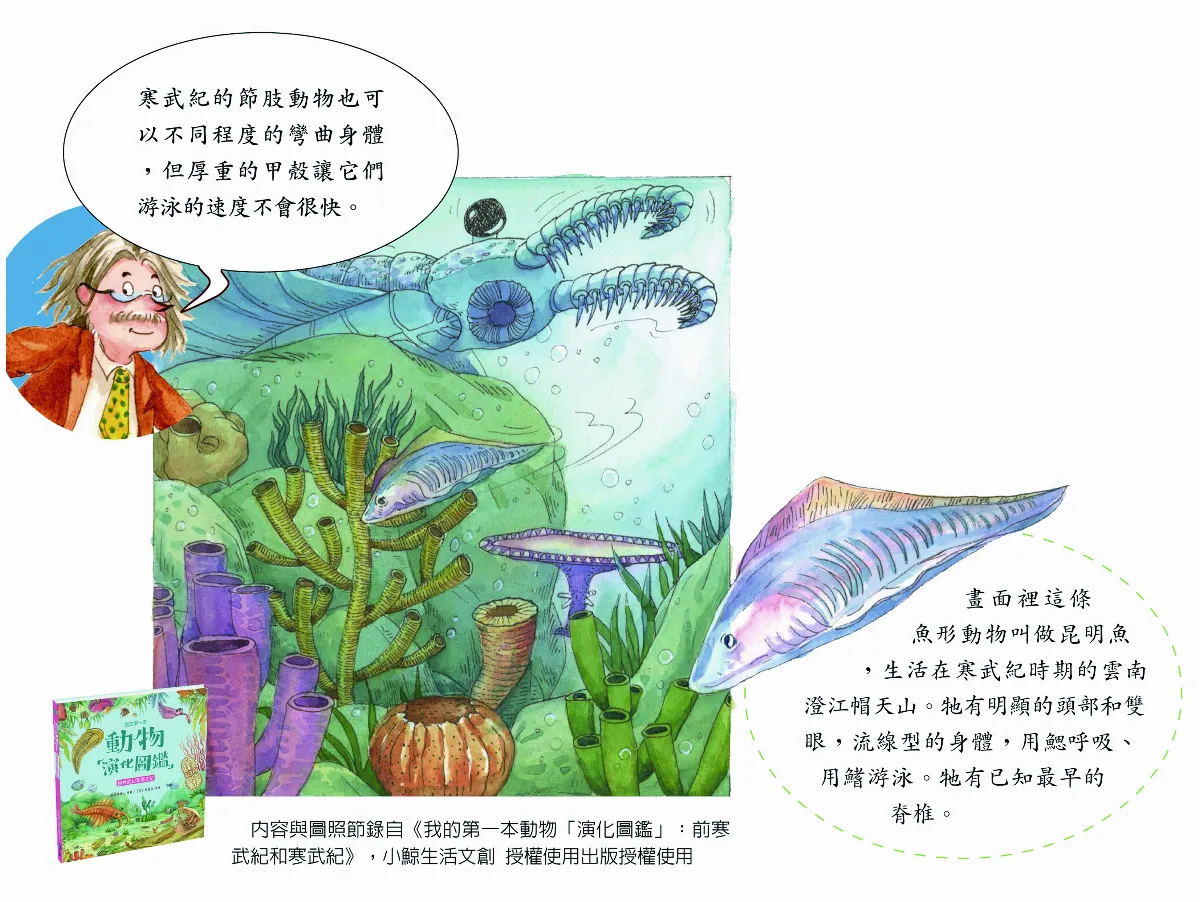 脊椎動物是人類祖先嗎？