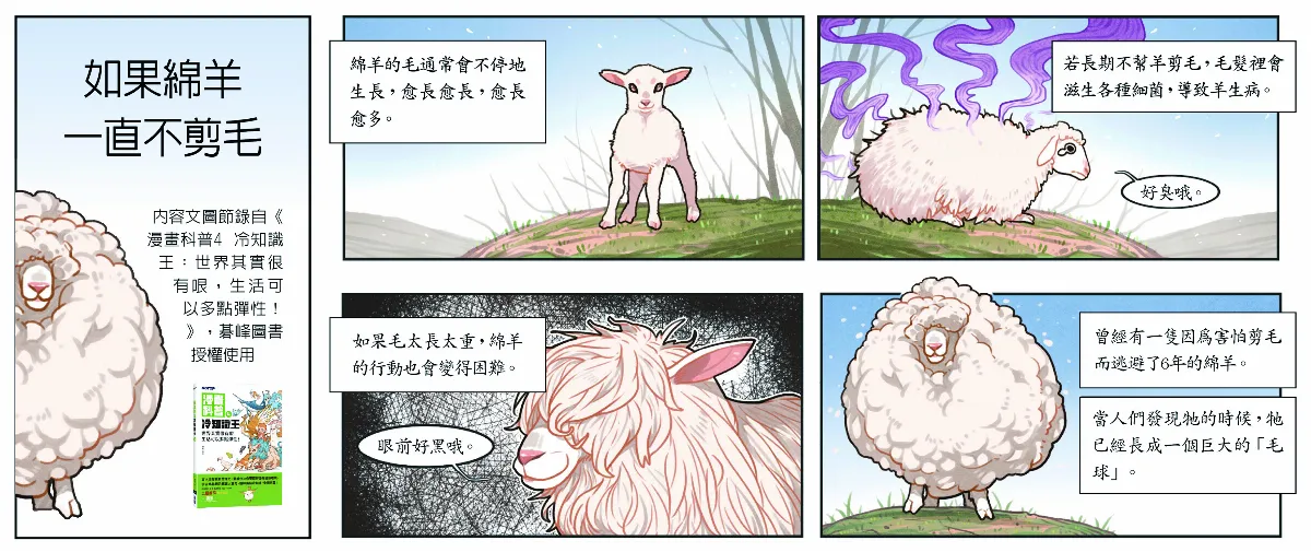 如果綿羊 一直不剪毛