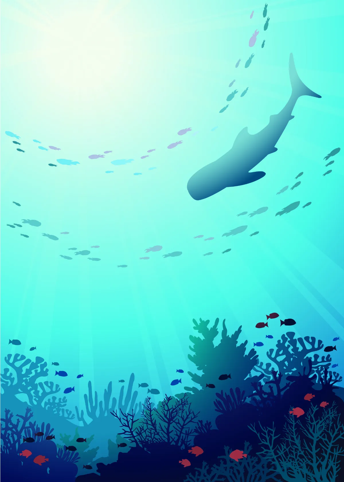 海與洋有什麼關係？