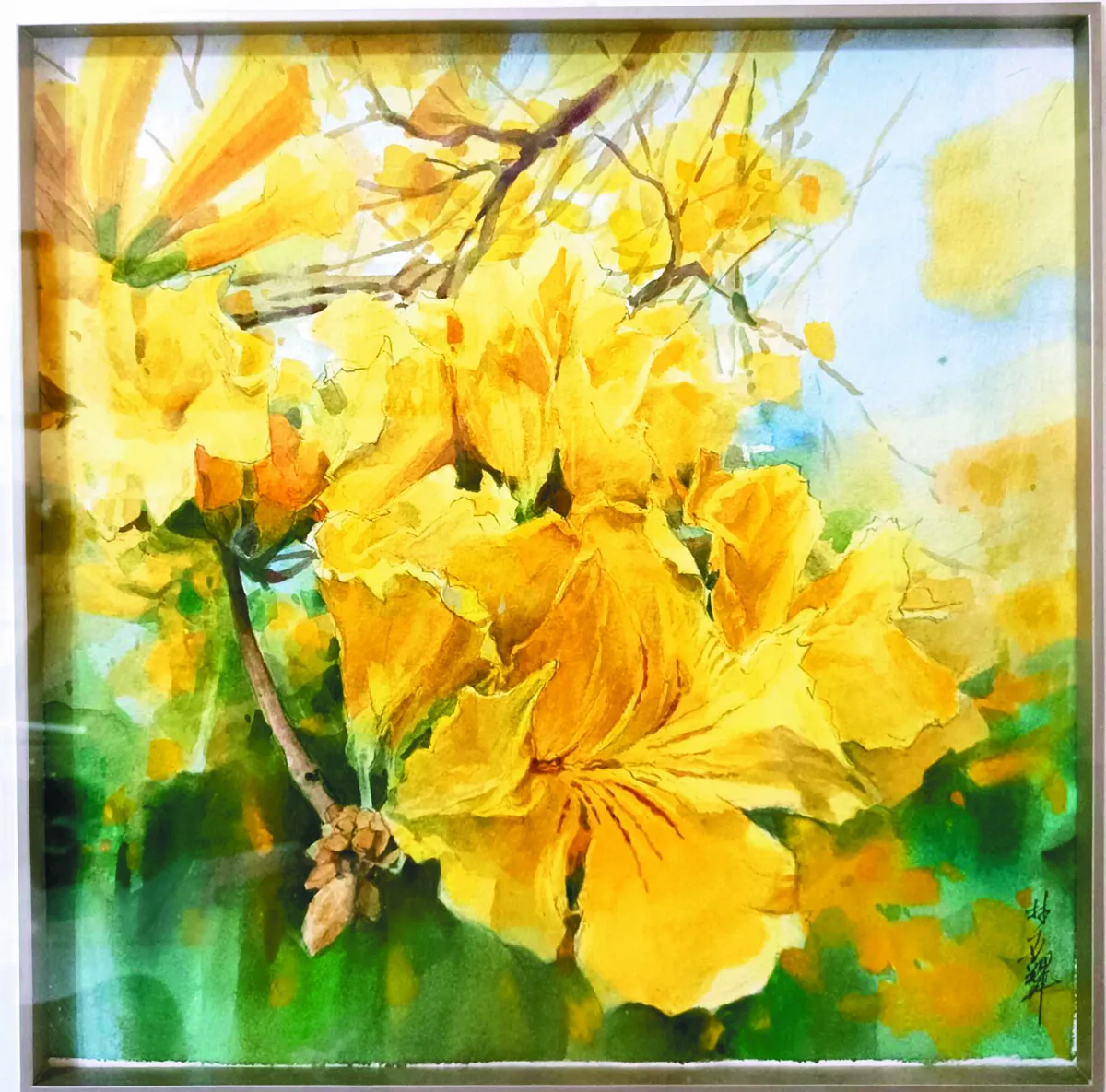 【明心見性──林世輝水彩創作個展】黃花風鈴