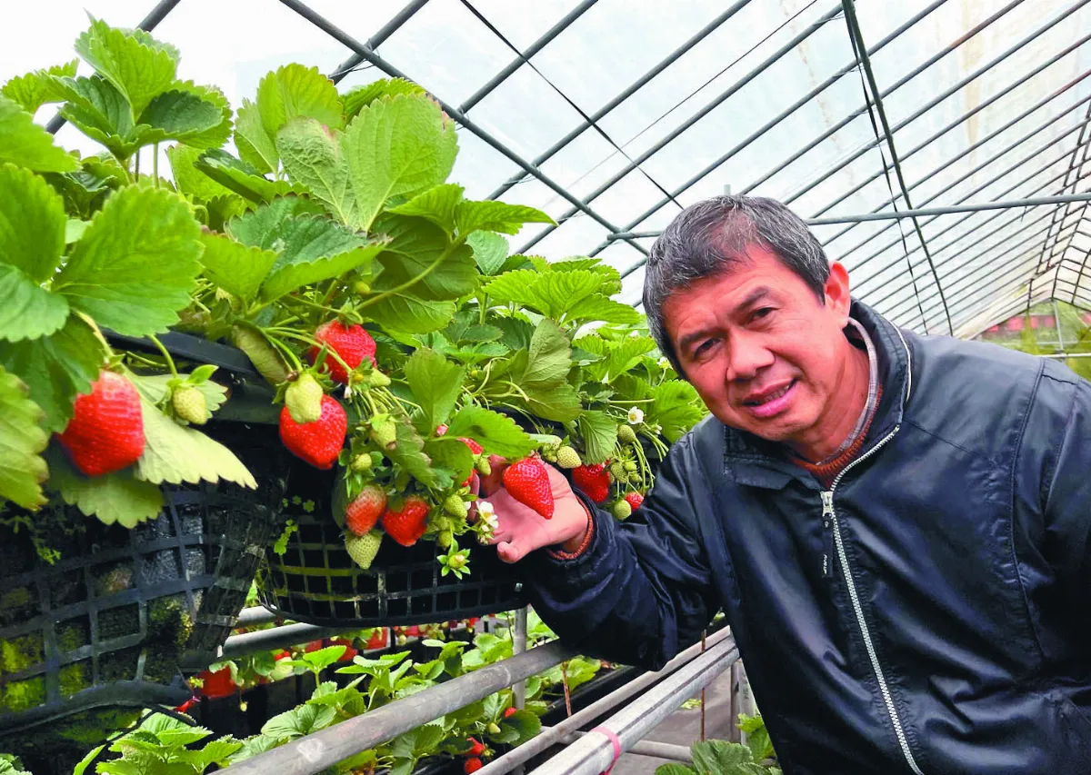 水果出任務 田園美色草莓季