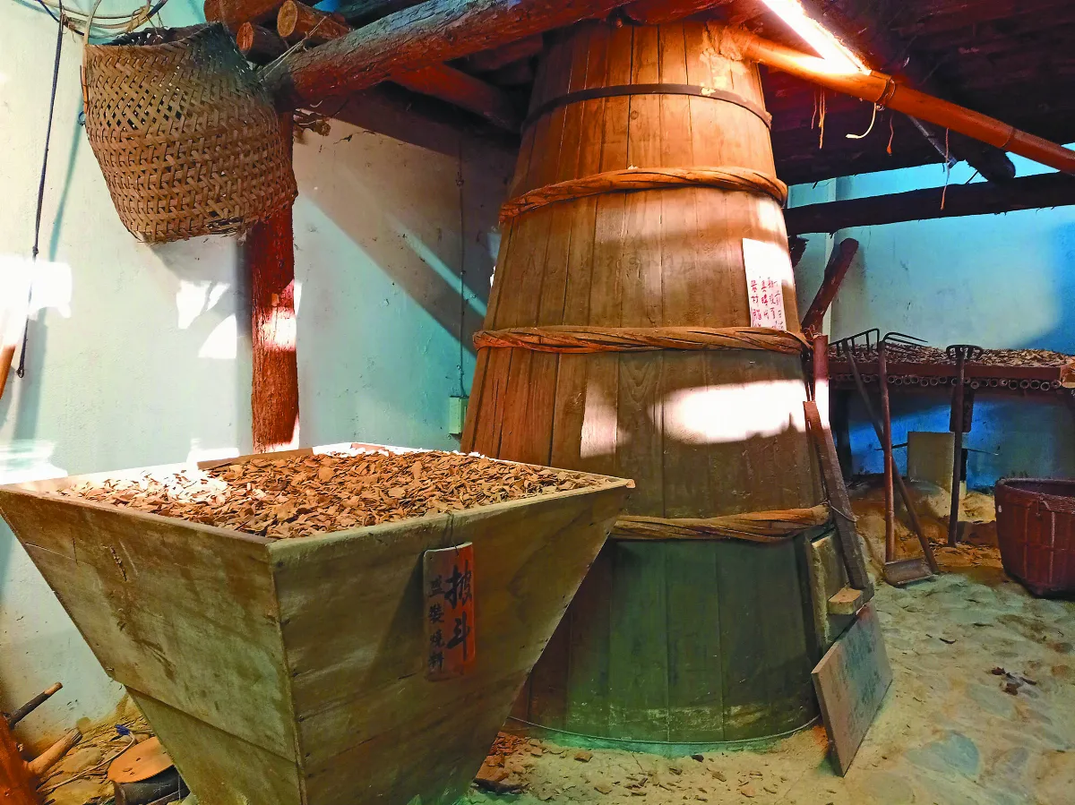 【寶島踏查】樟腦王國