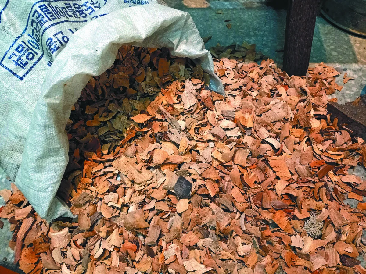 【寶島踏查】樟腦王國