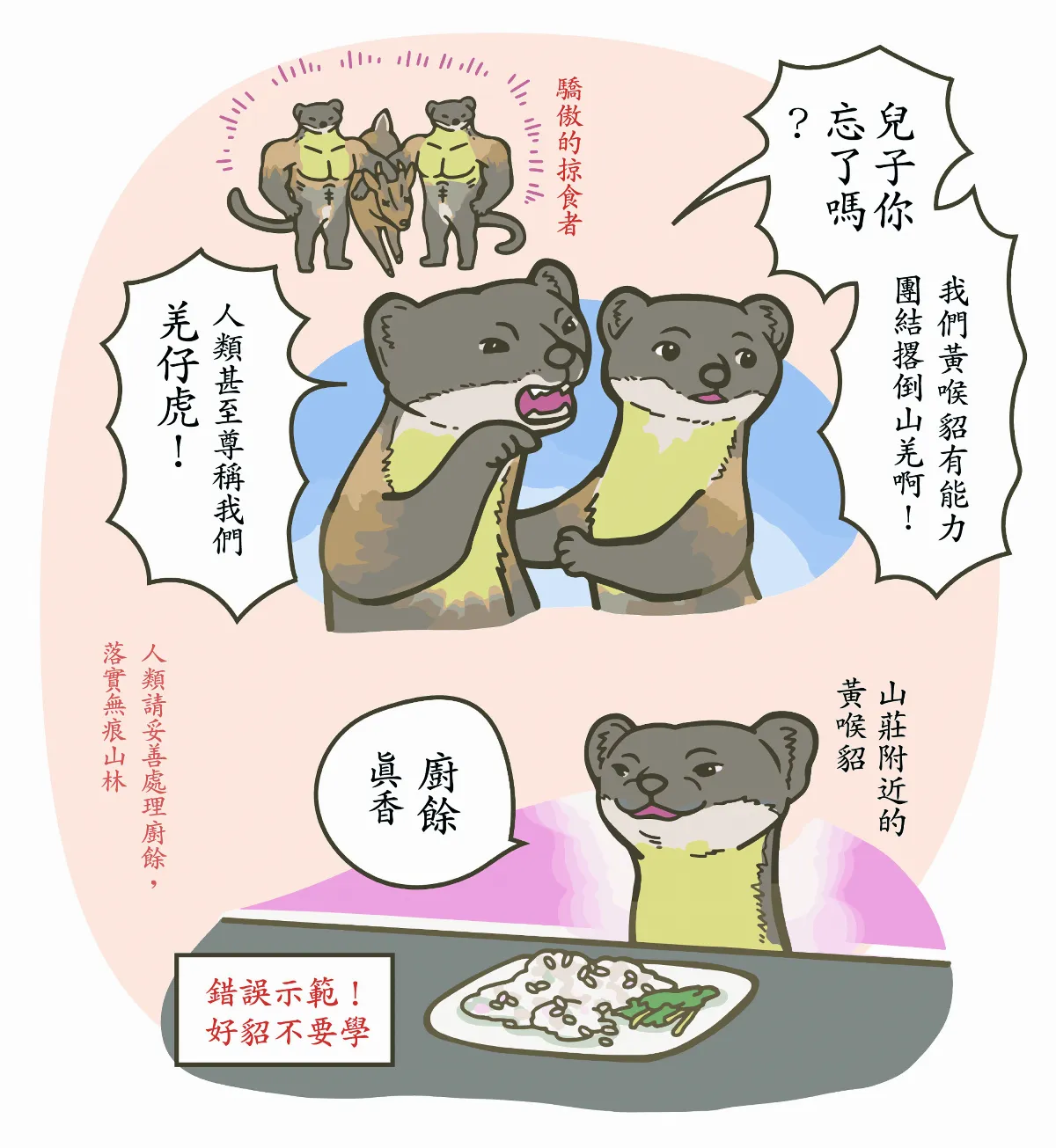 【玉子手札】神祕小精靈 黃喉貂