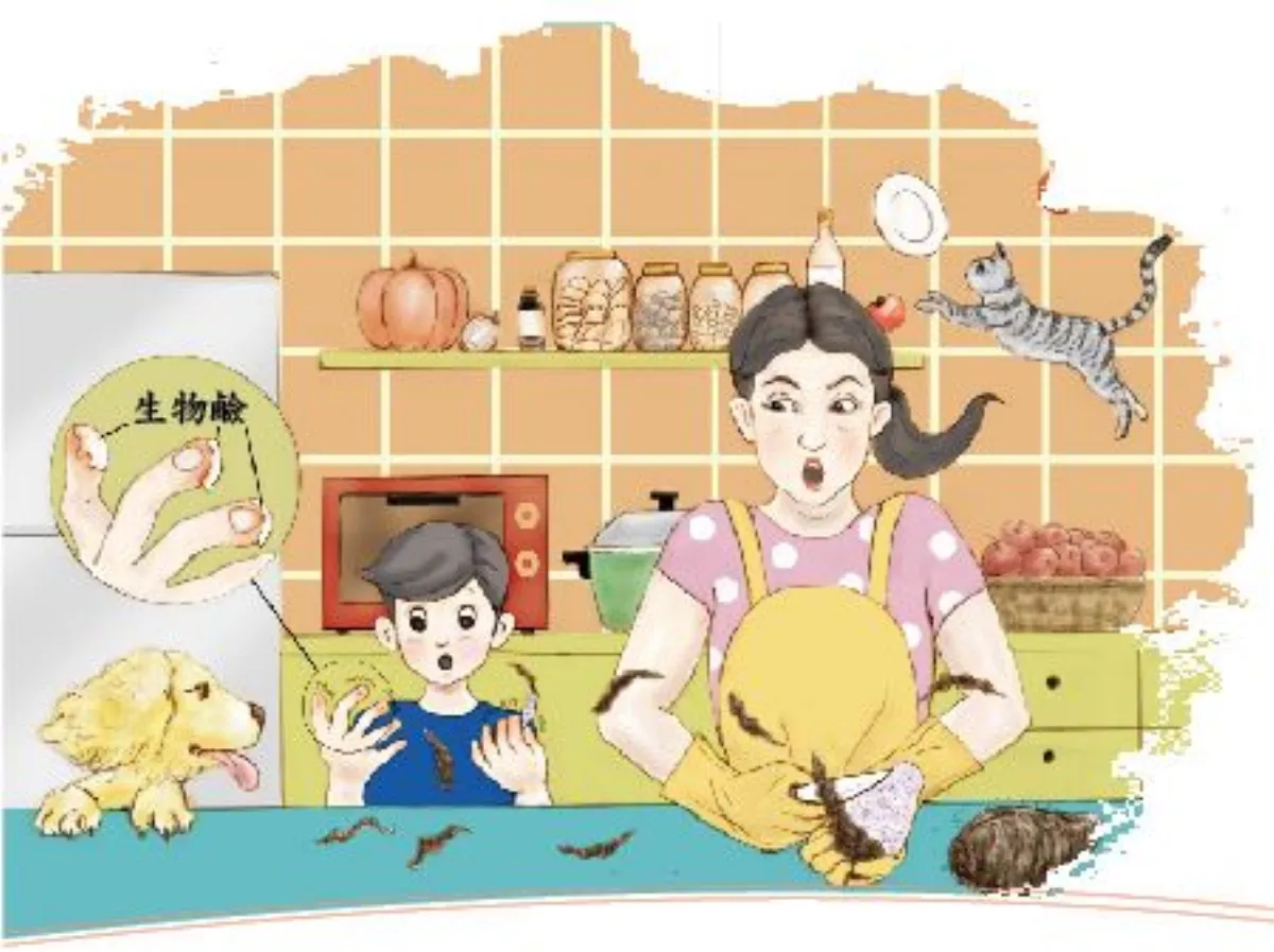 皂素與生物鹼 你知道多少？