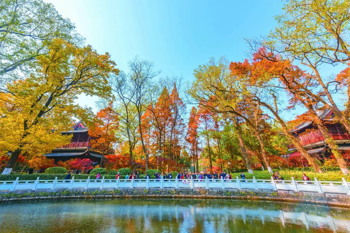 隨堂開示錄─教育講習 52  人間佛教實踐的理念 14-1