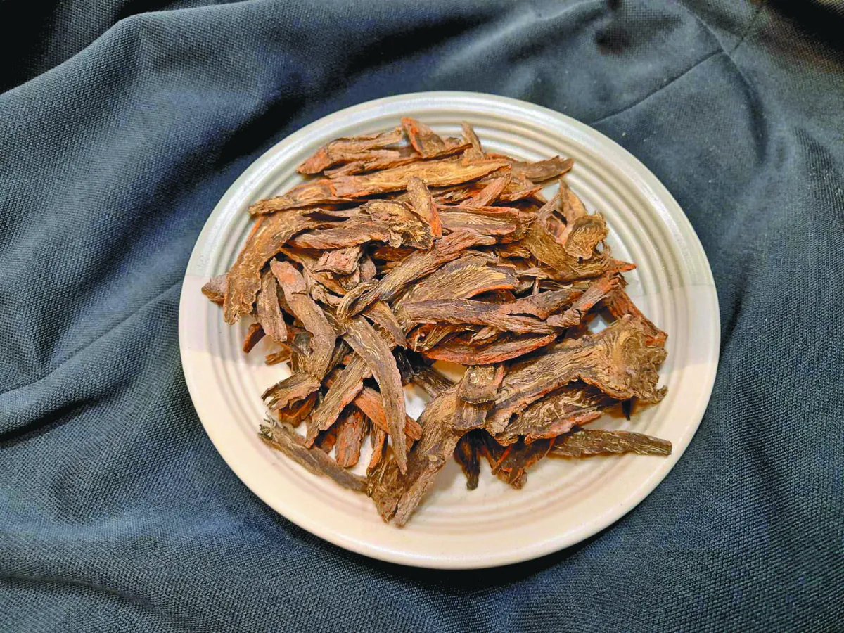 【中醫專欄】高血脂可以吃蛋嗎？