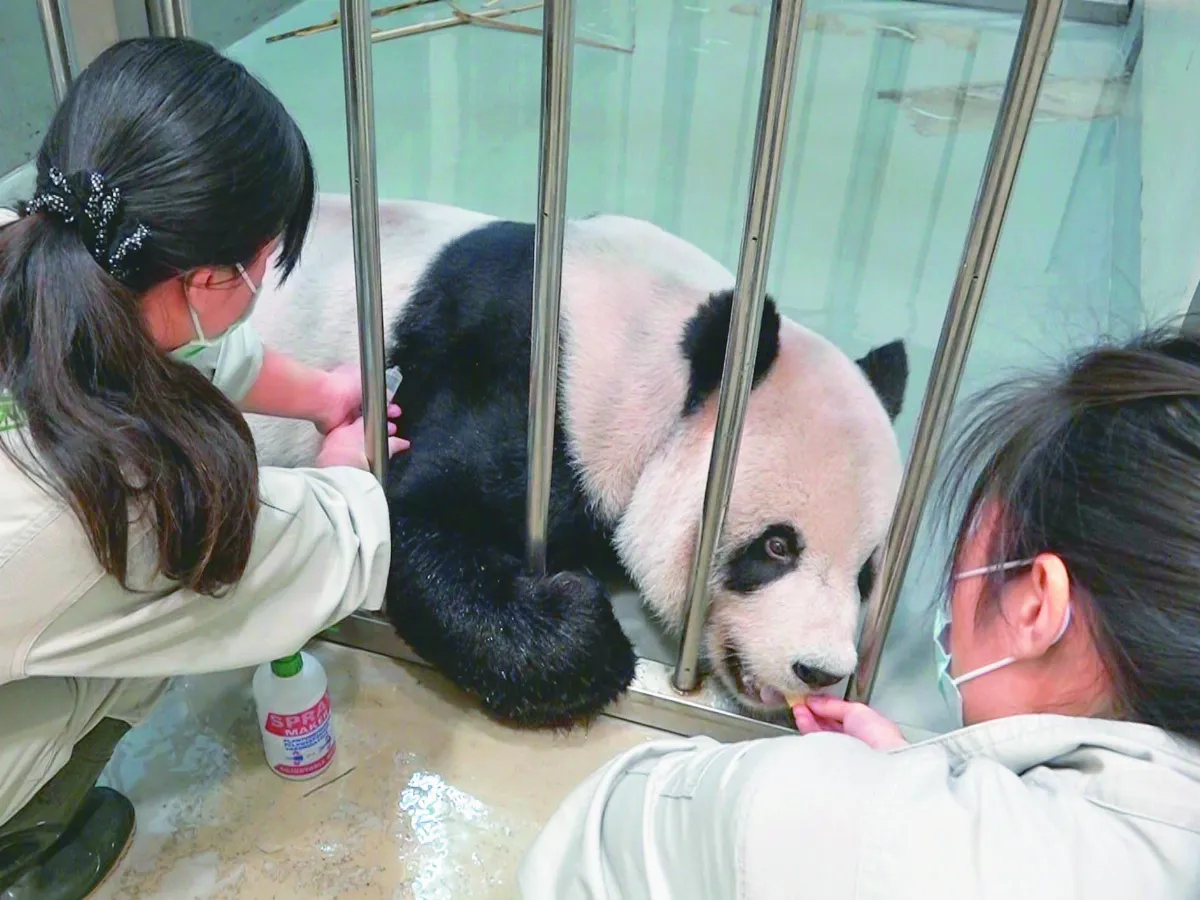 祝福團團