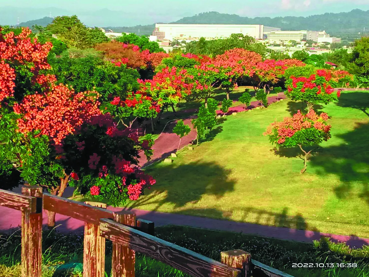 大地寫秋