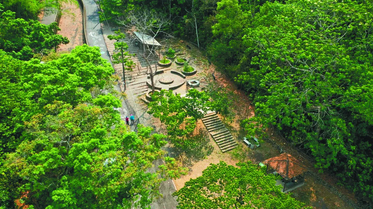 彰化．芬園 挑水古道飄桐香 三巖二寺話寶藏