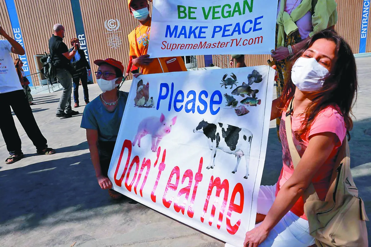 COP 27  補償過去、適應當下、應對未來