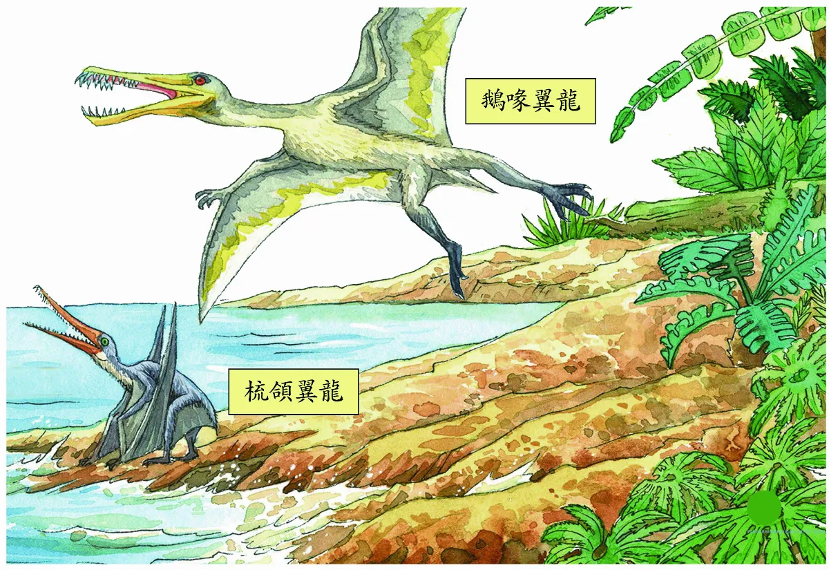 【鳥類物語分類篇】鳥兒千般種