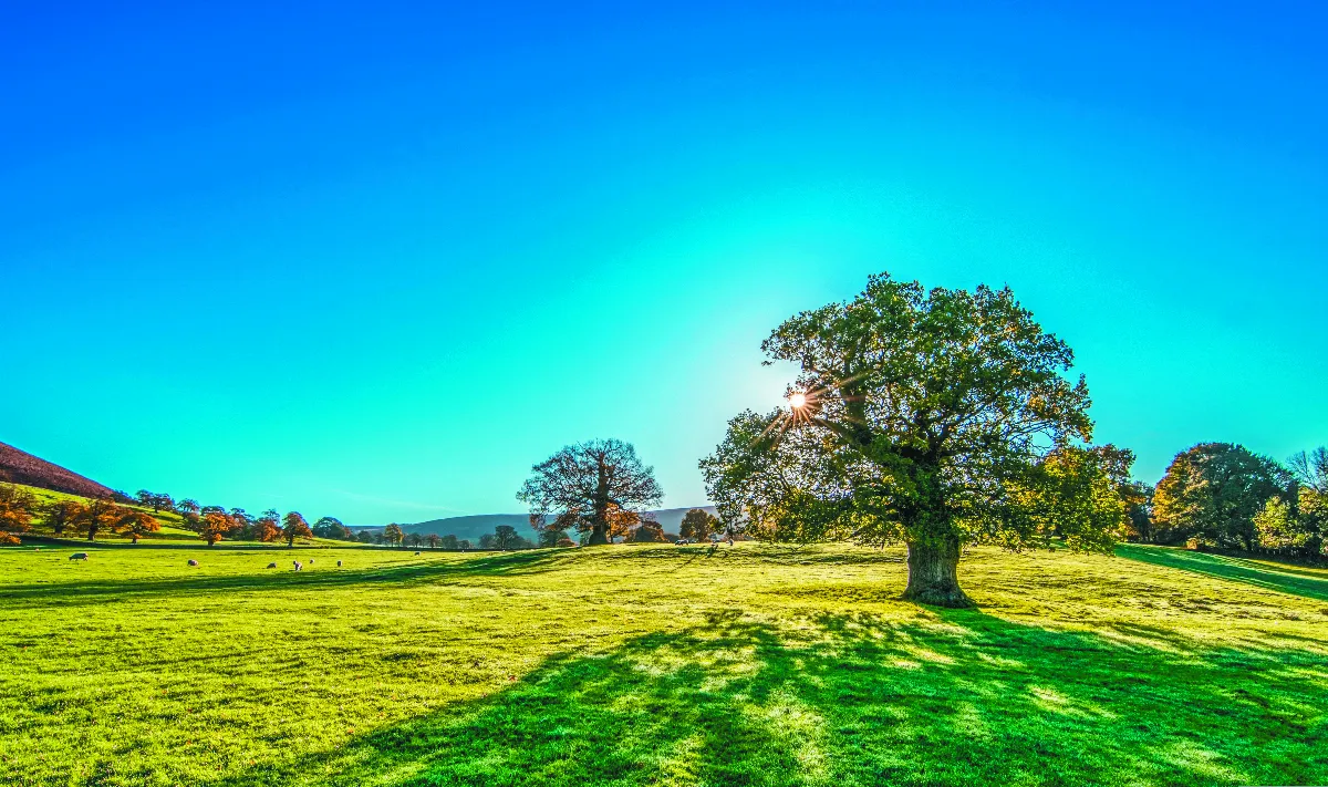 隨堂開示錄─教育講習 52 人間佛教實踐的理念 14-9