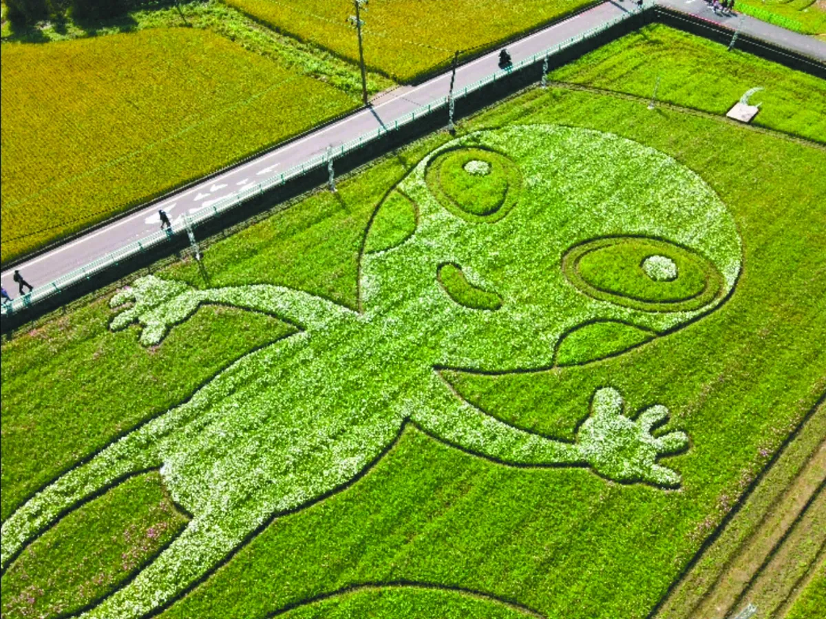 桃園花彩節 宇宙奇航