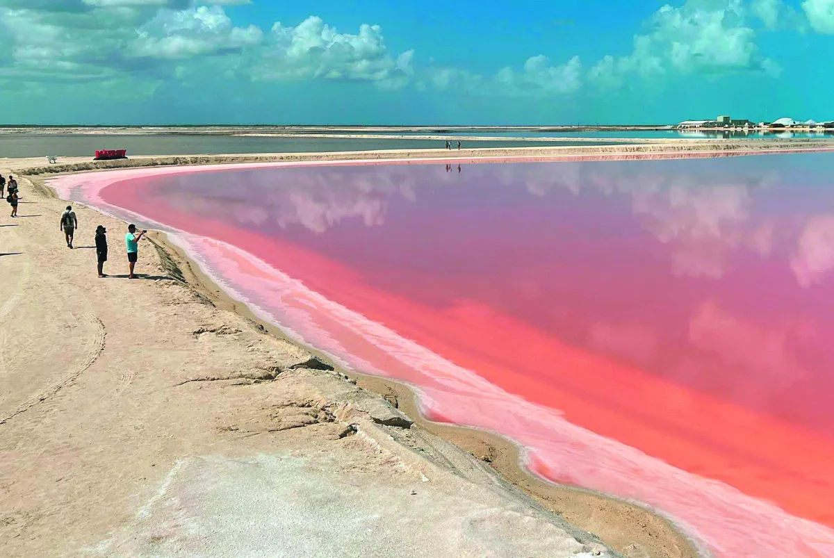 粉紅潟湖
