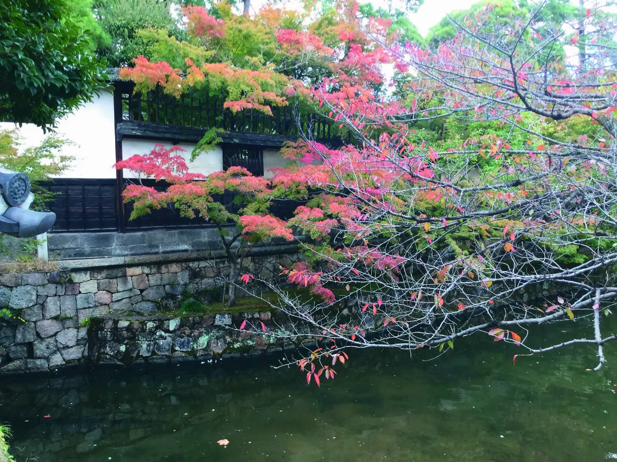 【海闊天空】京都 世界文化遺產物語