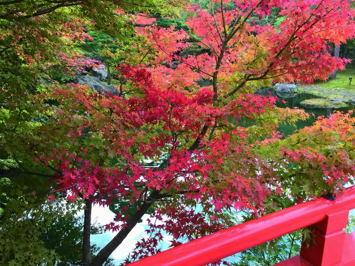 【海闊天空】京都 世界文化遺產物語
