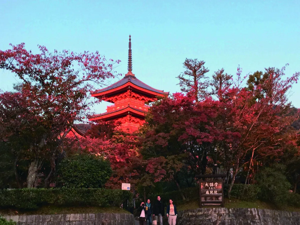 【海闊天空】京都 世界文化遺產物語