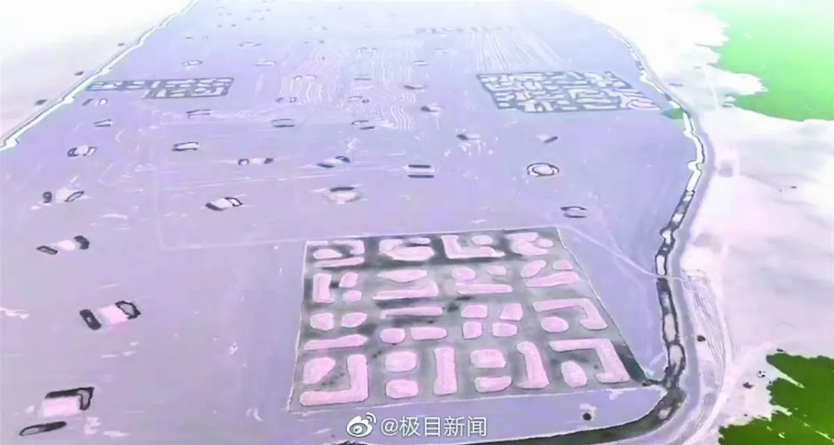 古城遺址？外星人記號？ 洞庭湖底現神秘圖案 網友熱議