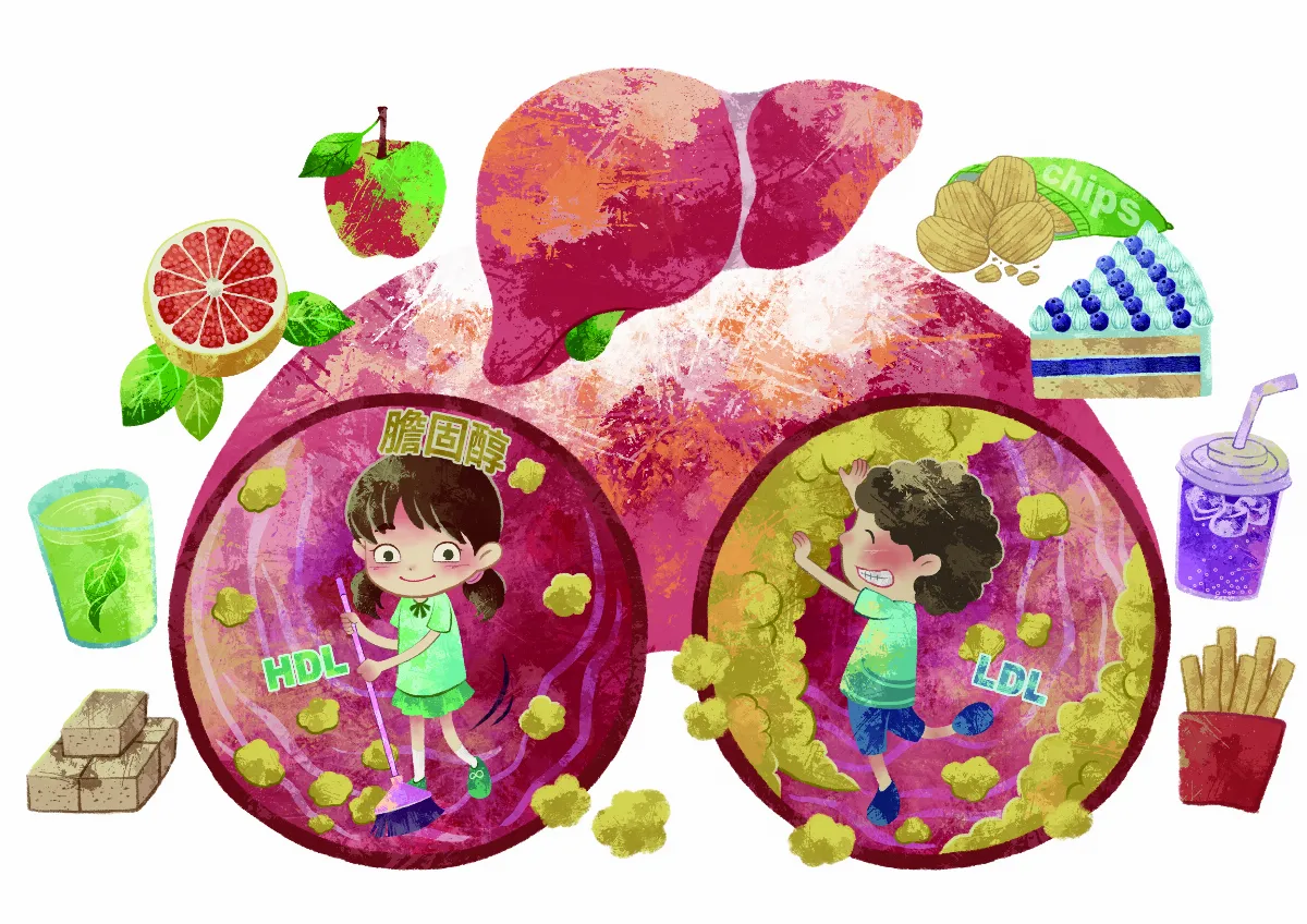 膽固醇攸關你我健康