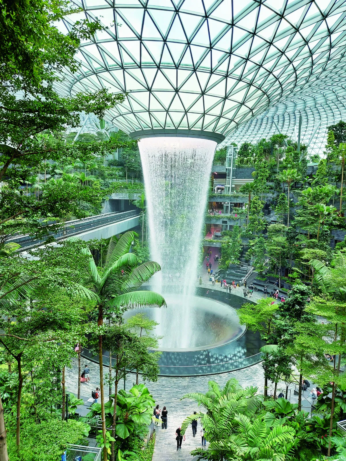 【我行遲遲】 疫情中的意想之外