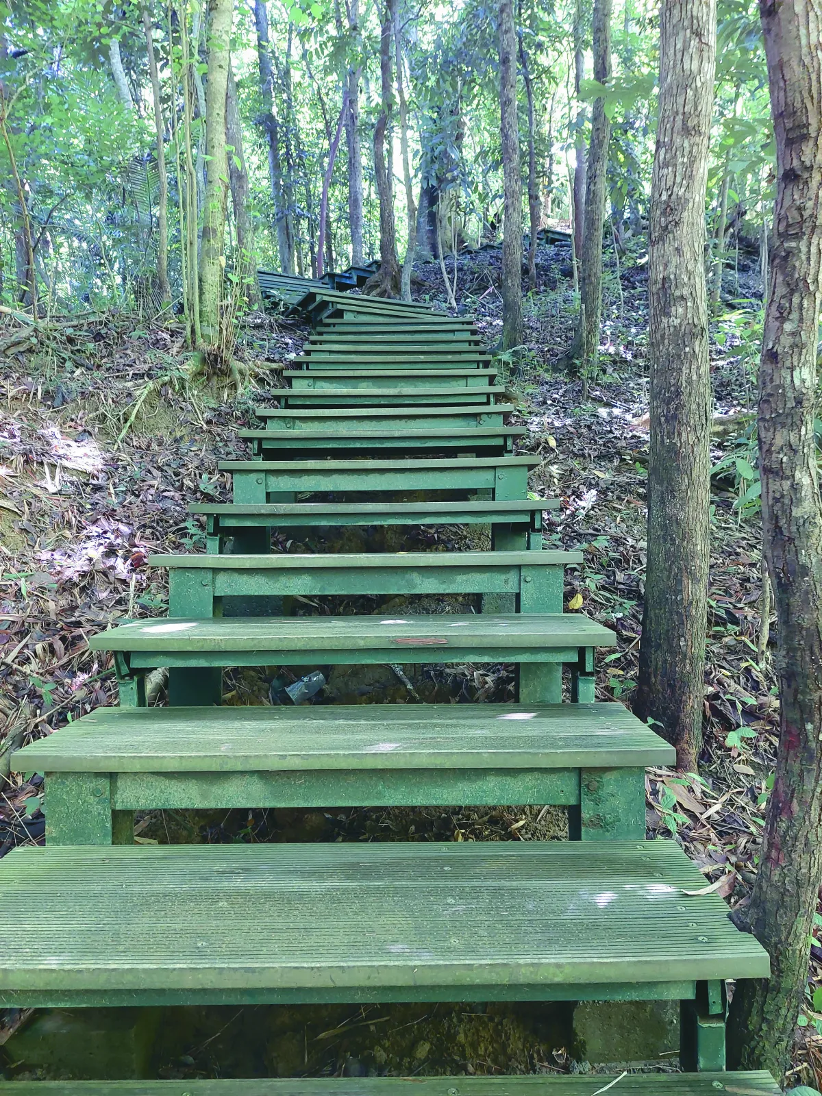 【生活快門】走向目的地