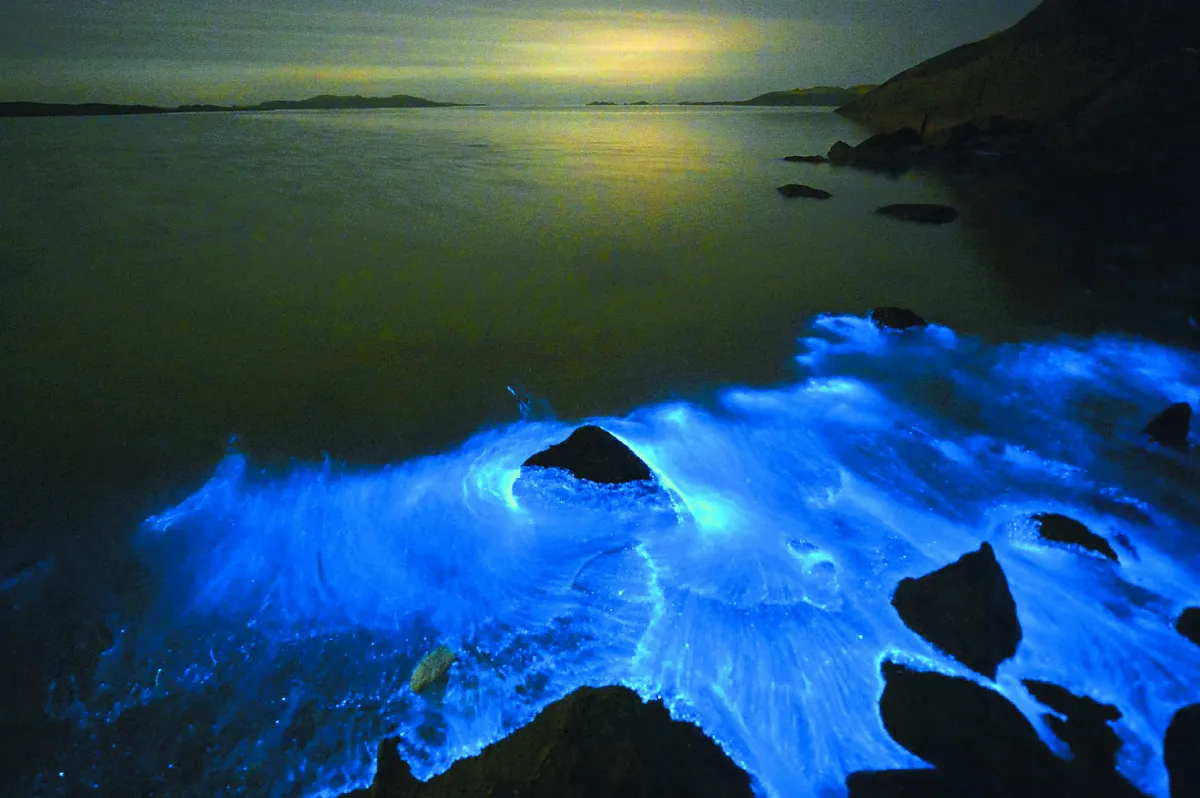 金門影像博物館 正式上線