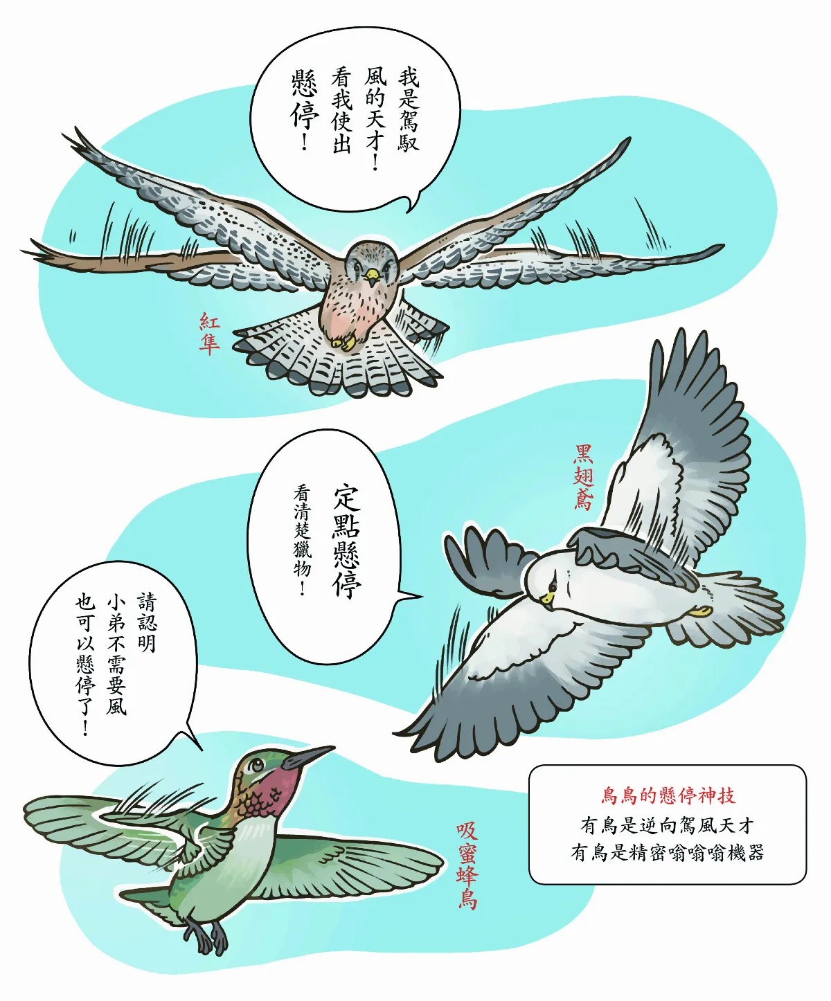【玉子手札】真懸停vs馭風小天才