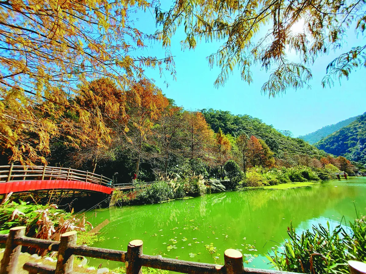 【紀實攝影】一水一松一世界