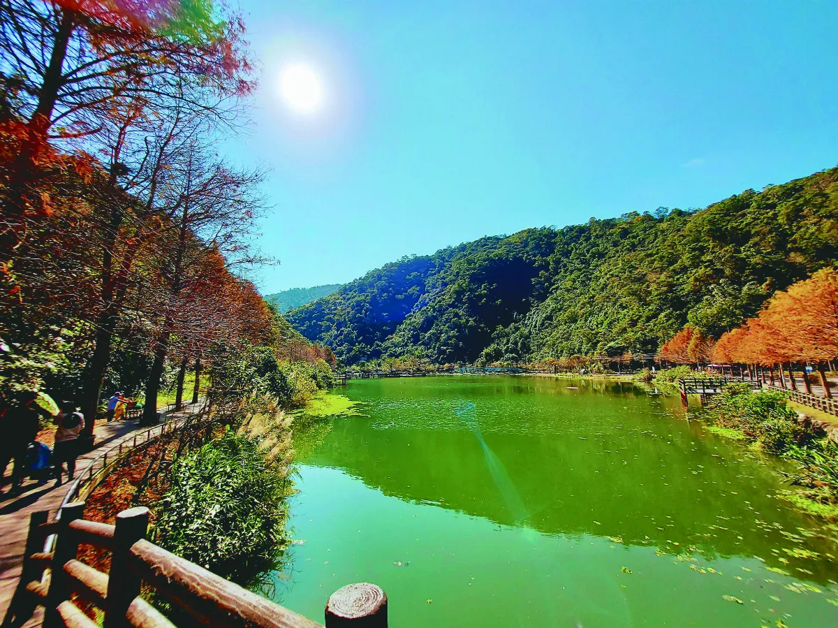 【紀實攝影】一水一松一世界