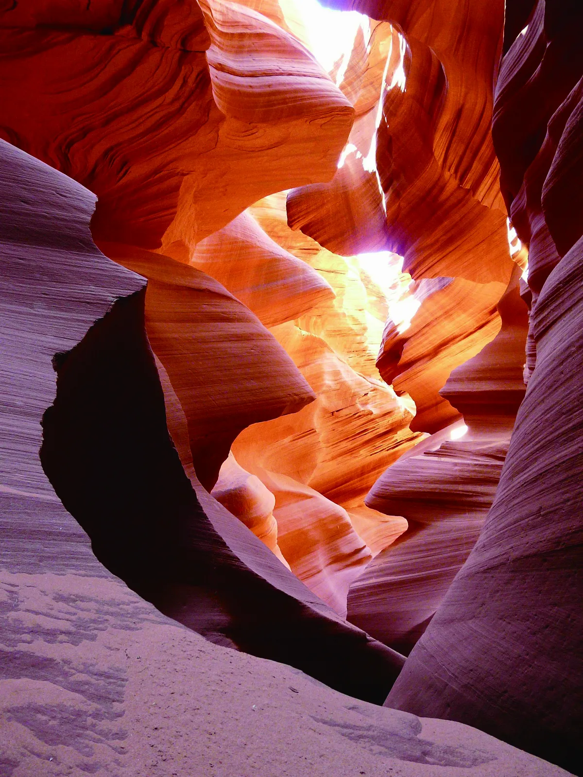 【生命畫語】活著