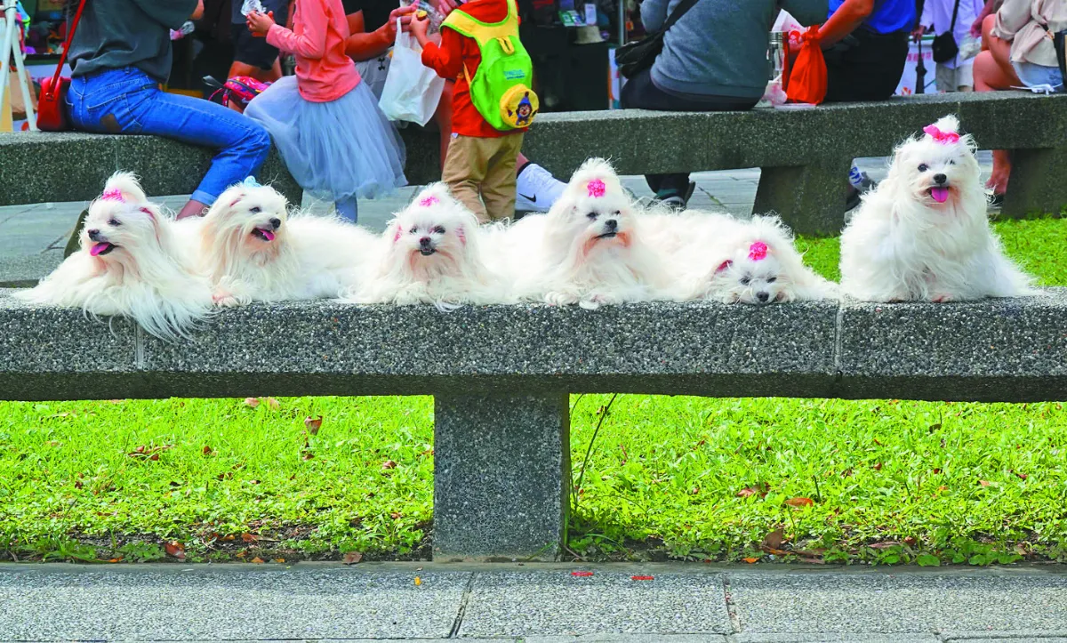 好天氣剩1天  明晚北部變天  低溫下探16℃