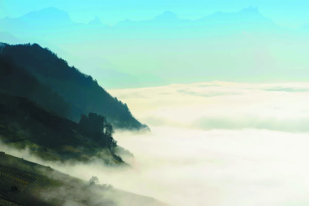 隨堂開示錄─教育講習 55  談禪堂生活 6-4