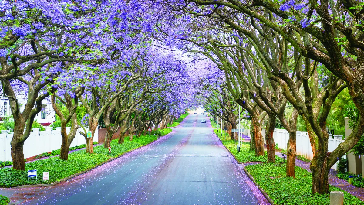 【佛法真義1佛法義理 ⑦】無我