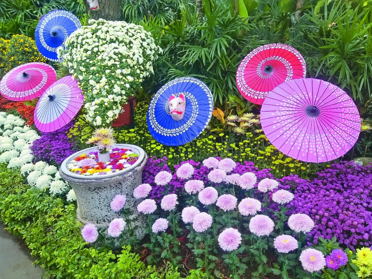 賞菊許願趣 2022年士林官邸菊展20周年慶