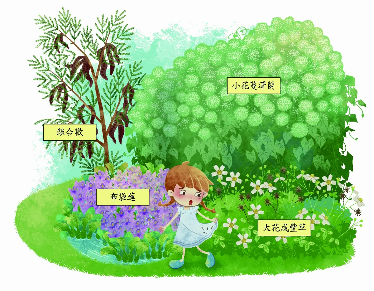 外來植物點點名