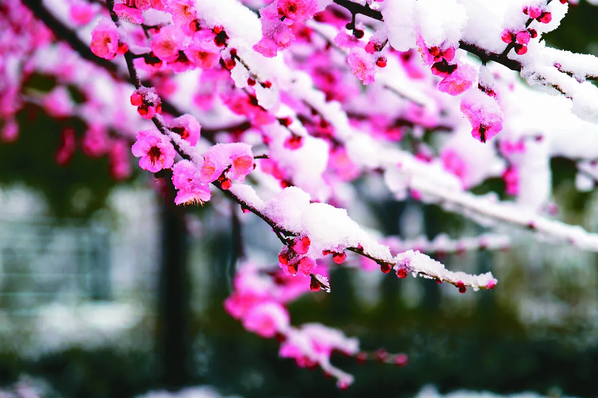 隨堂開示錄─教育講習 57  如何行走出家路 2-2