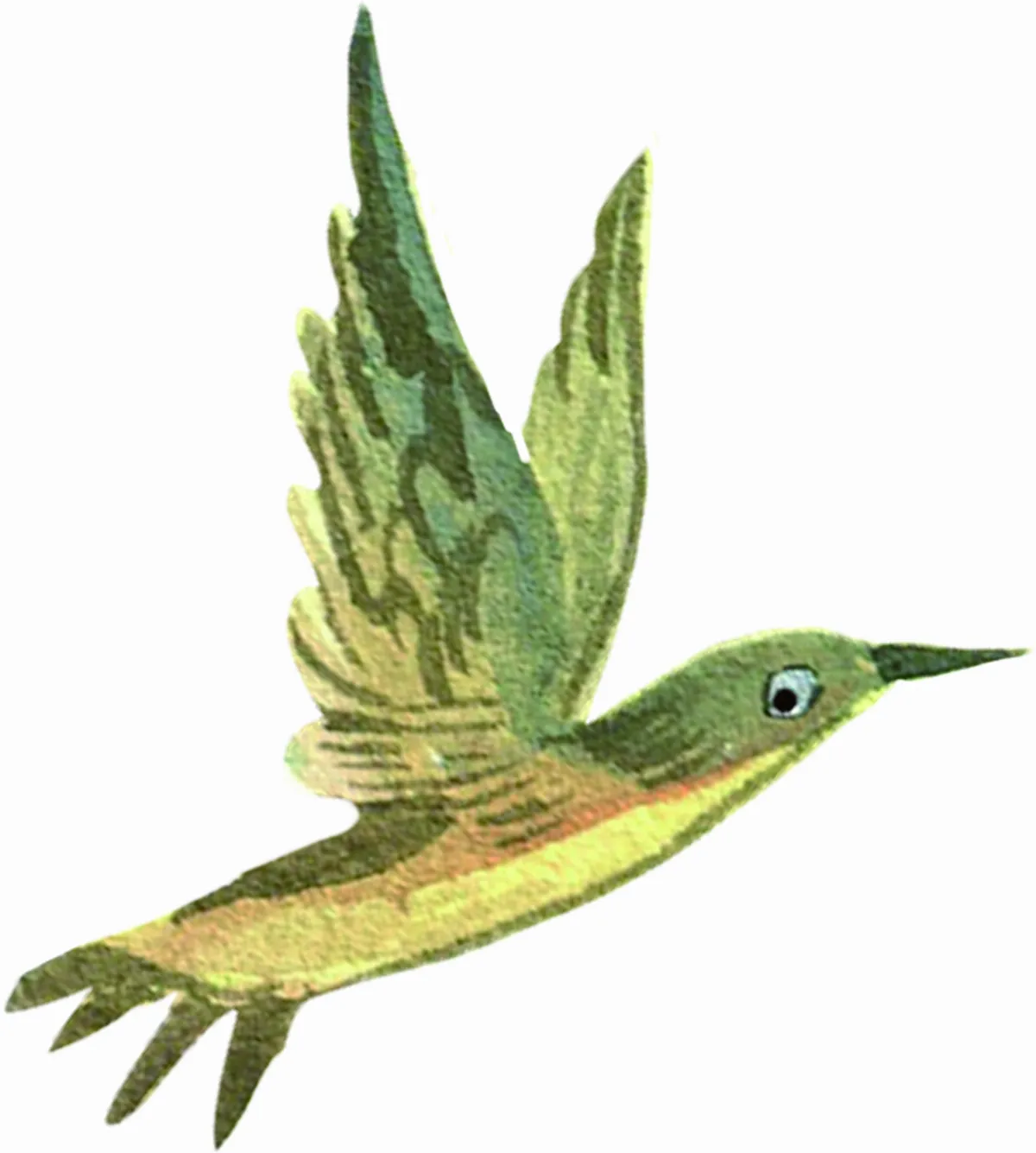 河川與環境生態